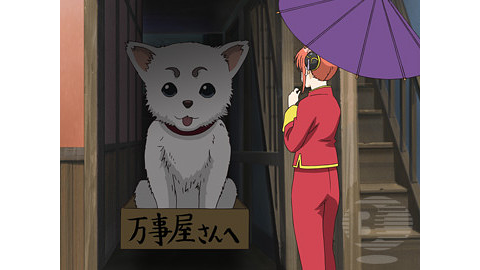 疲れた時は酸っぱい物を